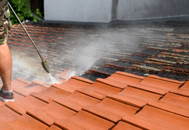 Best Pressure Washing Services for Businesses  in Palmyra, IN