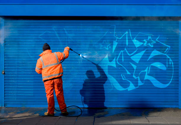 Best Residential Pressure Washing Services  in Palmyra, IN
