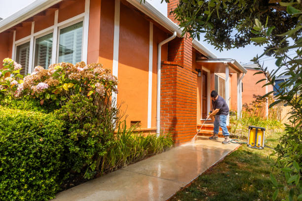 Best Local Pressure Washing Services  in Palmyra, IN