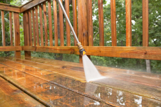 Best Commercial Pressure Washing  in Palmyra, IN