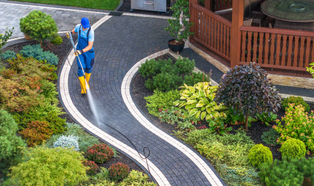Best Best Pressure Washing Companies  in Palmyra, IN
