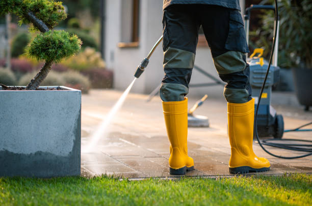 Best Exterior Home Cleaning  in Palmyra, IN